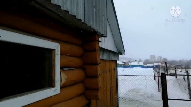 Пишу письма. Варим еду для кур и для себя. Жизнь в деревне. смотреть онлайн