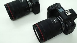 Canon EOS R vs EOS RP | Which one is for you?