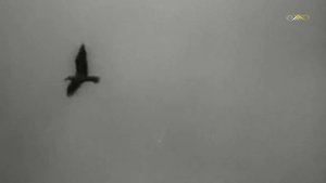 Виталий Копылов, Владимир Матусов - Песня о неизвестном матросе