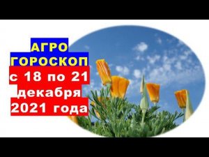 Агрогороскоп с 18 по 21 декабря 2021 года