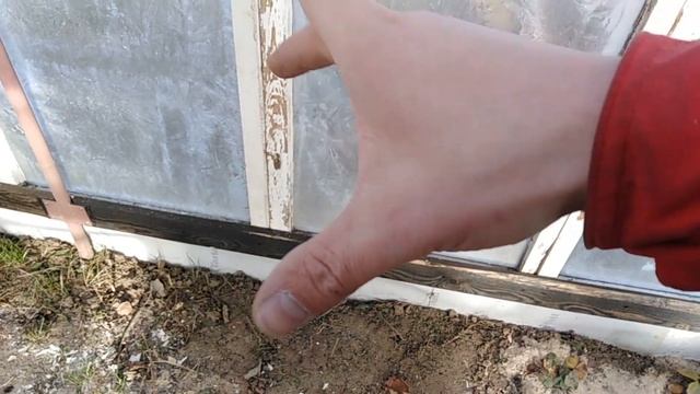 Зимовка винограда в теплице .