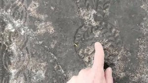 ВИЛОЧКОВЫЙ КРЕСТ ЧТО ОЗНАЧАЕТ