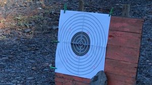 Hatsan 125 и Gamo G-magnum 1250 4.5 мм НА 100 МЕТРОВ ПО МИШЕНИ ПУЛЯМИ ЛЮМАН Field Target 0.68.