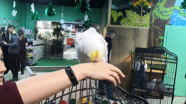 НАМ 5 ЛЕТ И МЫ СХОДИЛИ В КОНТАКТНЫЙ ЗООПАРК смотреть онлайн