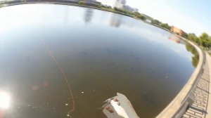 Нахлыст. Выходы жереха