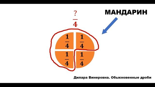 Обыкновенные дроби. 1 часть. Математика 5 класс смотреть онлайн
