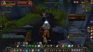 WoW прохождение ЗУЛ'АМАН выбиваем АМАНИЙСКИЙ БОЕВОЙ МЕДВЕДЬ!