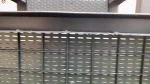 Оса Полист. Видео 2021 . (эксклюзив) Охотник на шершня.