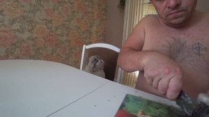 Котик Кевин Фадеев выпросил рыбку у дедушки