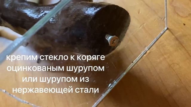 Как установить корягу вертикально в аквариуме без грунта смотреть онлайн