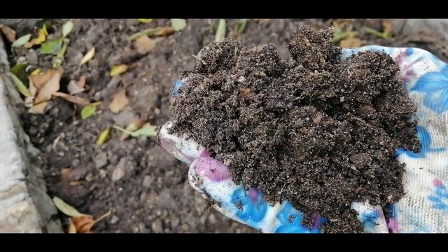 ?❓КУРИНЫЙ ПОМЕТ. КАК ИМ УДОБРЯТЬ. ОСЕННЕЕ ВНЕСЕНИЕ В ОГОРОД И САД. НОРМА