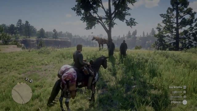 The punishing of Billy Bob смотреть онлайн