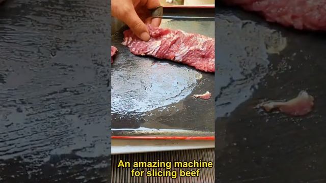 Such Amazing Eruis Meat Slicer Cut Perfect Slices