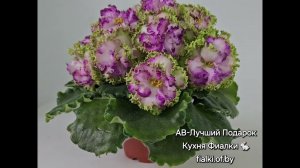 фиалка АВ-Лучший Подарок. Коллекция Кухня Фиалки ❤️