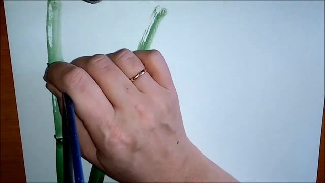 Бамбук. Изображение природы через детали. смотреть онлайн