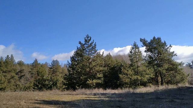 20 марта праздник День Иконы Божией Матери " Споручница Грешных". Павлов день. Народные традиции смотреть онлайн