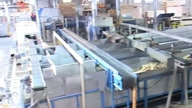 Безотходная переработка древесины. ООО 