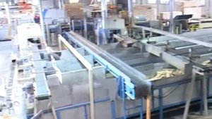 Безотходная переработка древесины. ООО "Бийский лесхоз"