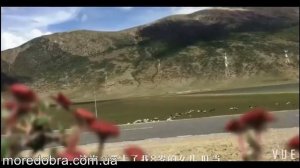 Водонепроницаемая сумка штаны на багажник велосипеда велобаул OQsport
