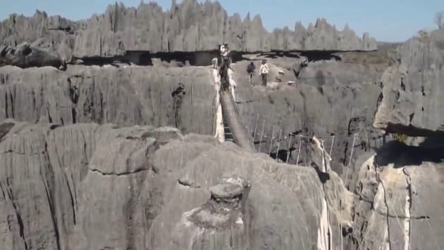 Каменный лес на Мадагаскаре /Интересные факты/Природа/Изучаем Мир/Наша планета/Познавательное/