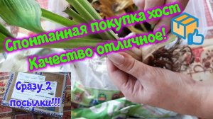 Посылки с новыми хостами. Заказывала на ОК.ru