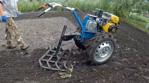 Борона для мотоблока за 30 мин. 1 часть. Особенности посева горчицы. Лечим и удобряем почву.