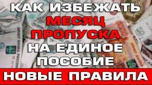 Как избежать месяца пропуска при продлении Единого пособия в 2024 году