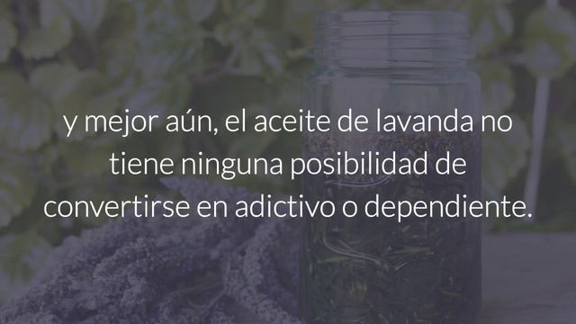 Cómo Usar La Lavanda Para Aliviar La Ansiedad Y La Depresión