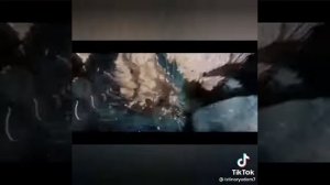 кто первый увидел плоскую землю.огюст пикар