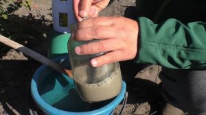 Чем подкормить розы осенью, чтобы они удивили нас своим цветением летом!