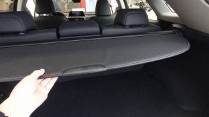 Lexus RX 300 (2022), обзор + цена