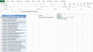 How to find party's name starting with small letter in excel