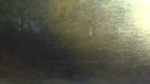 Пригородный автобус 121, участок Горки-10 - Успенское