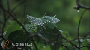 Music for relaxation.Sounds of rain.Звуки дождя.