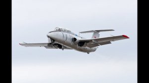 Л-29 "Дельфин"
