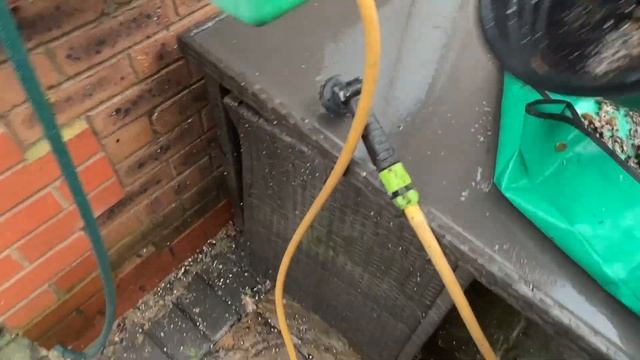 Pulling up a Sauromatum venosum смотреть онлайн