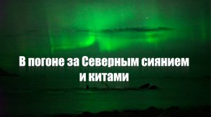 В погоне за Северным сиянием и китами. Териберка зимой