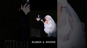 Витон2-INSTASAMKA