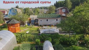 29. Наша дача - (июнь 2021 г. ) 29-я серия. Текущий видеообзор.