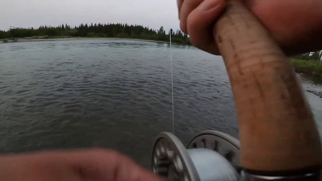 EPIC Alaska King Salmon Fishing! (HARDEST FIGHTING FISH)