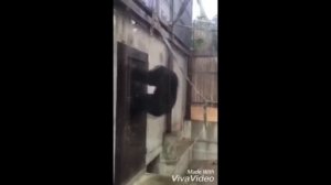 когда сильно хочешь в туалет