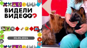 Видели видео? Выпуск от 05.05.2024