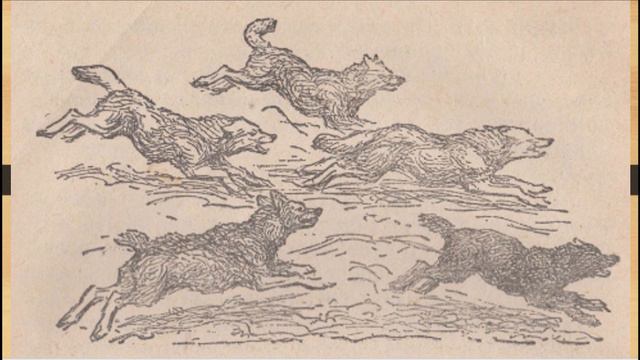 Ольга Перовская. Ребята и зверята "МИШКА" смотреть онлайн