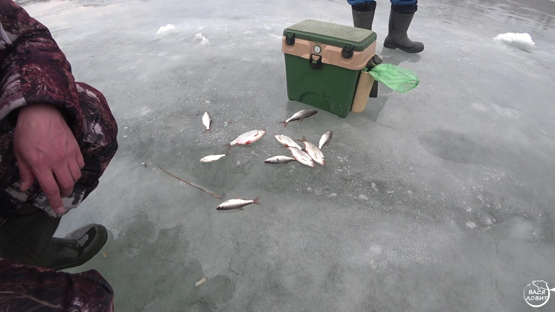 Вася ловит рыбу. Последний лед плотва. Ловля рыбы на Дону. Ловля рыбы туристами.