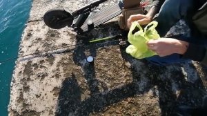 Рыбалка на Чёрном море: Окунь и Сарган