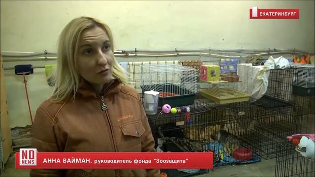 СОЦИАЛЬНЫЙ РОЛИК(Цымбал Милена) смотреть онлайн