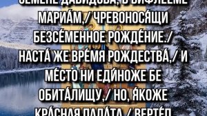 СЕГОДНЯ ЭТИ СЛОВА НУЖНО ОБЯЗАТЕЛЬНО СКАЗАТЬ! В КАНУН РОЖДЕСТВА ХРИСТОВА ПРОЧТИ И ПОПРОСИ О ГЛАВНОМ!