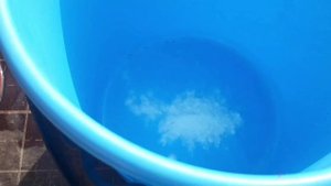 Пищевая сода для кур// "бассейн" гусятам и утятам...