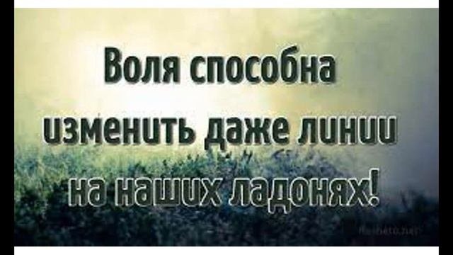 МУДРОСЛОВИЕ. Притча о мухе и пчеле...