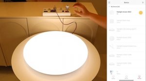 Introduction to Yeelight Arwen 450C and 450S smart ceiling lamps